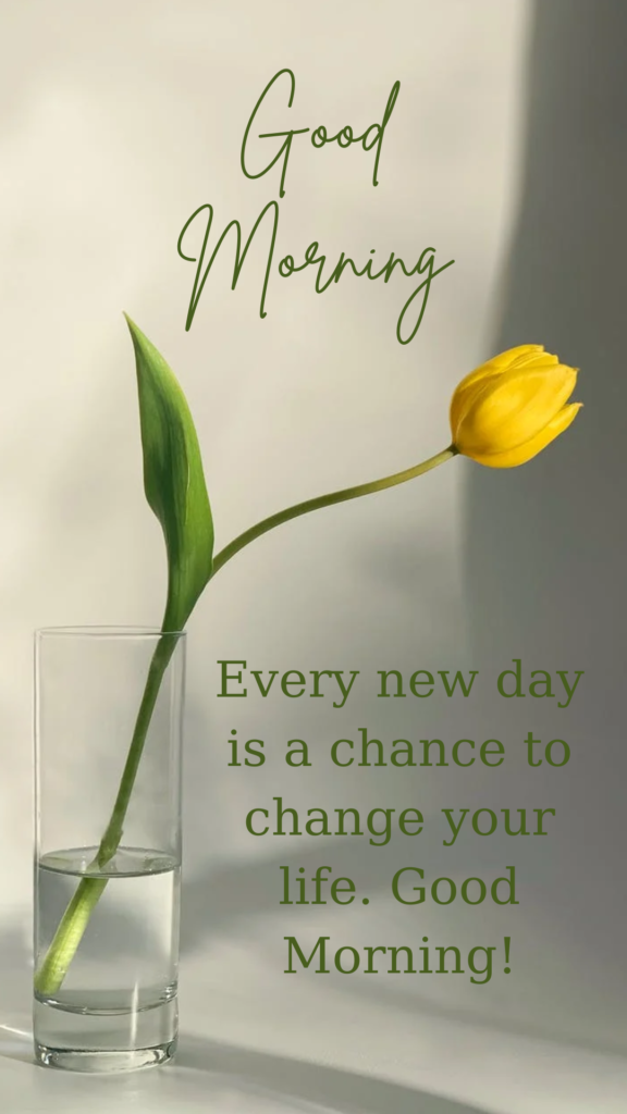 Every new day is a chance to change your life. Good Morning!